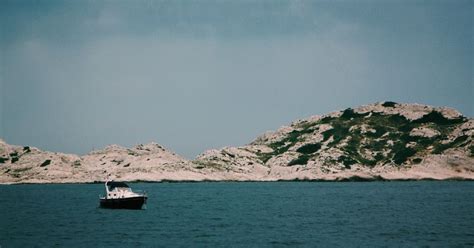  Euryhalops! Odkryj fascynujący świat tej wielkożyłowej wędrowiczki z oceanów!