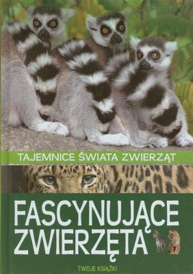 Unijask! Odkryj Fascynujące Tajemnice Tego Niezwykłego Stworzenia Z Klasy Dyplomów